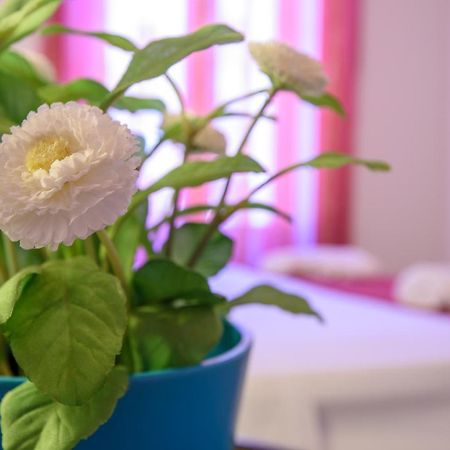 Housestation パレルモ エクステリア 写真
