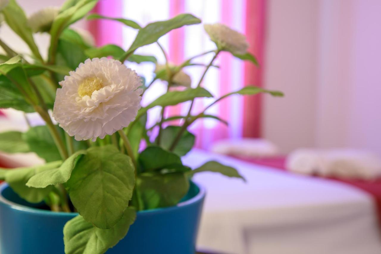 Housestation パレルモ エクステリア 写真